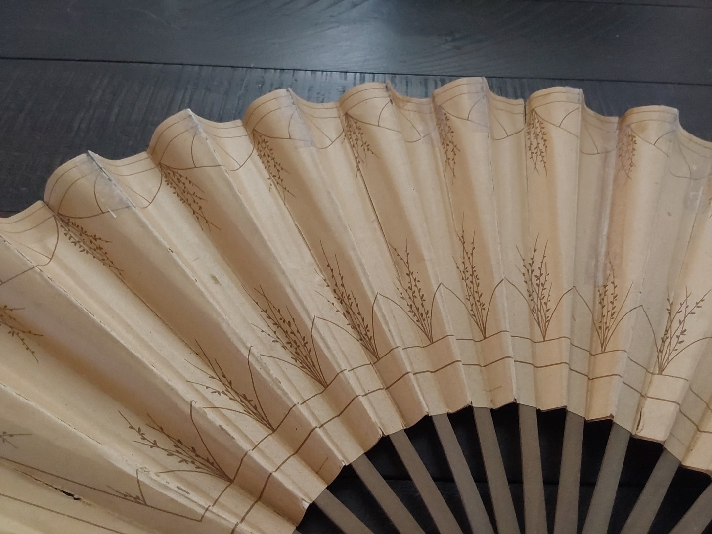 Grand Hotel Paris France 1890s Folding Hand Fan