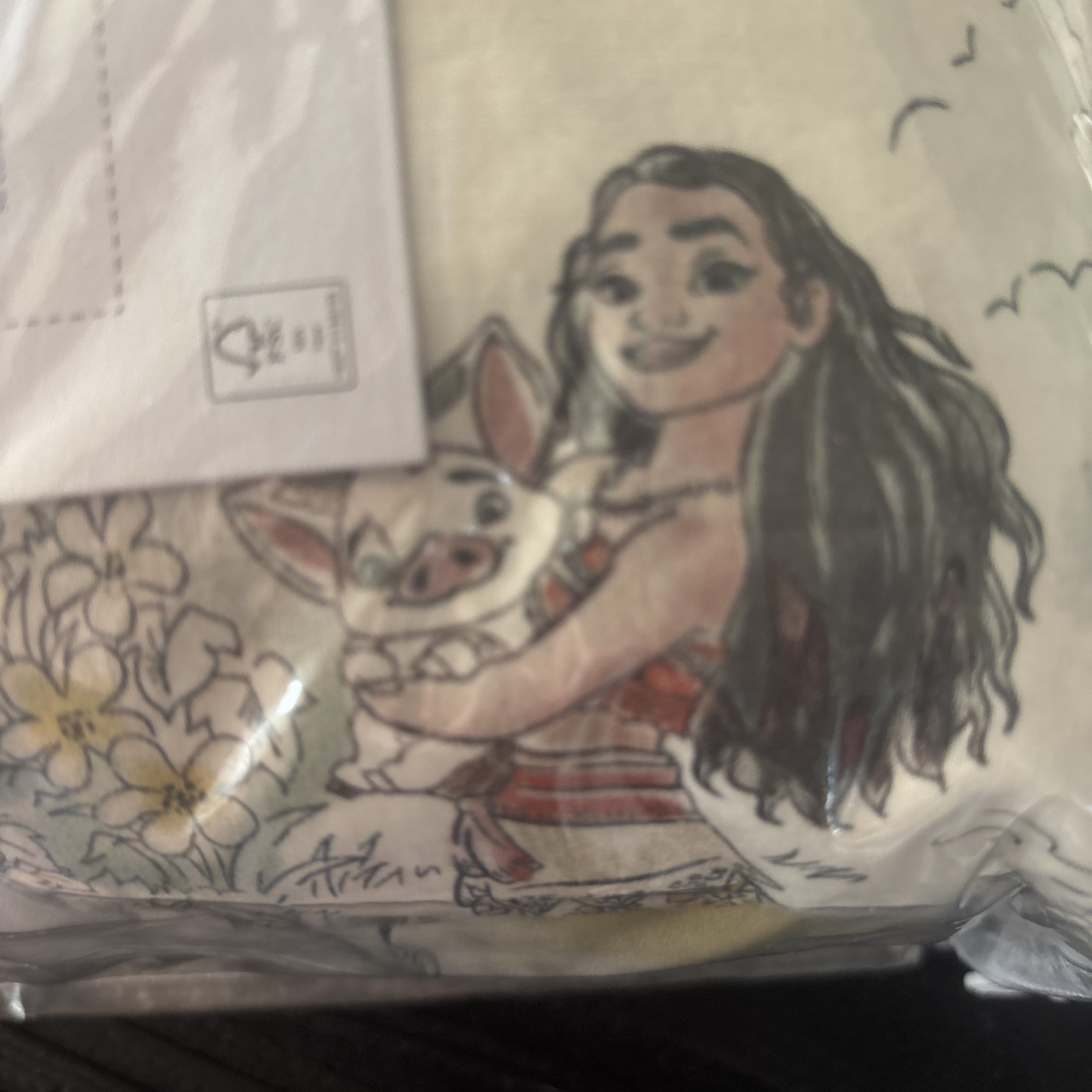 POTTERY BARN KIDS Disney Princess Heritage Organic Queen Sheets Set - NEW