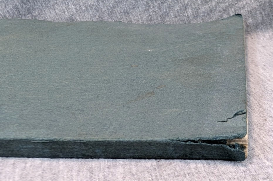 1936 Snakes of Maryland Illustrated Book Howard Kelly Color Plates 1st Edition