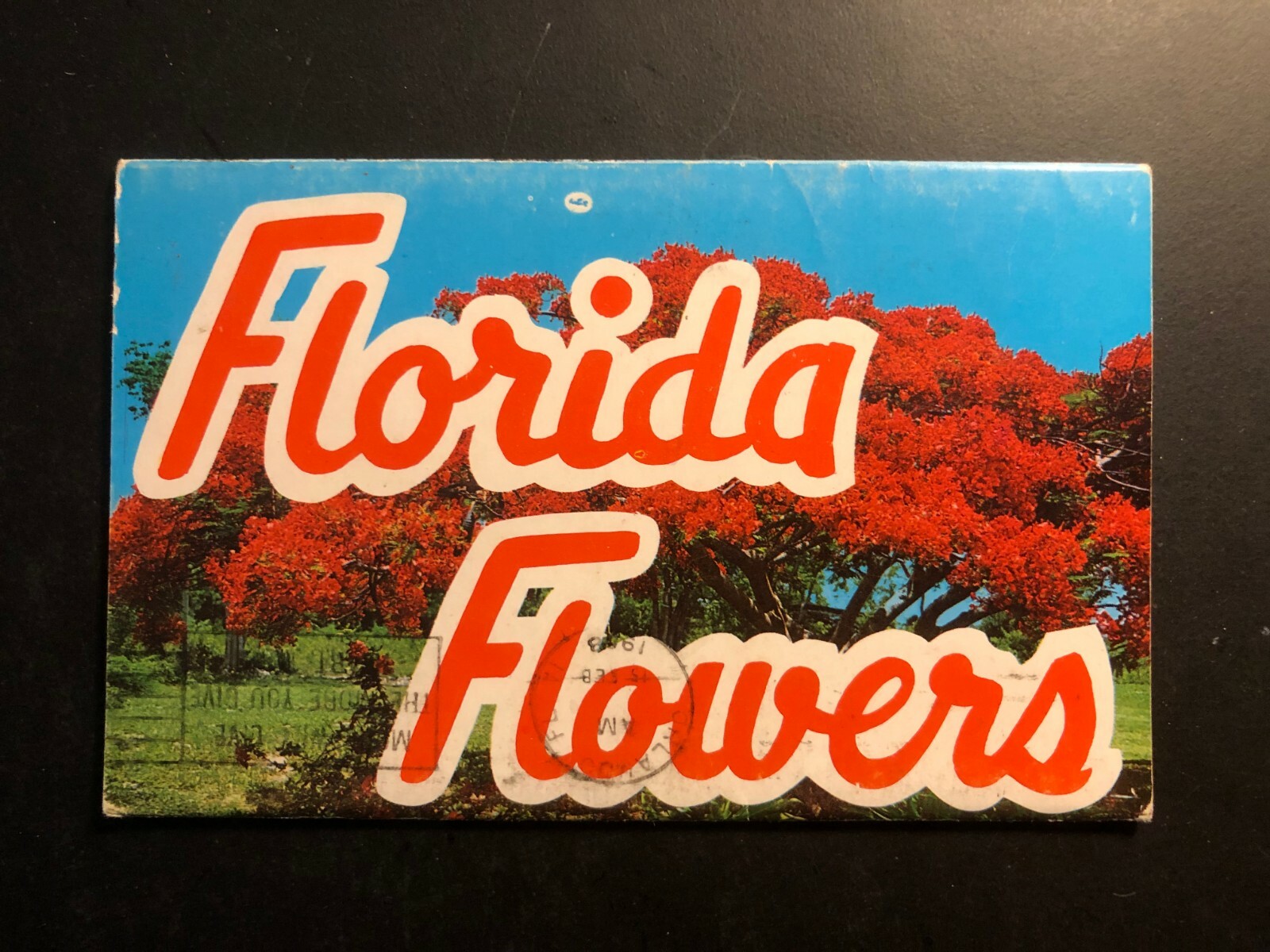 Old Vintage"FLORIDA FLOWERS" Fold Out Views Printed 1964 Made in USA