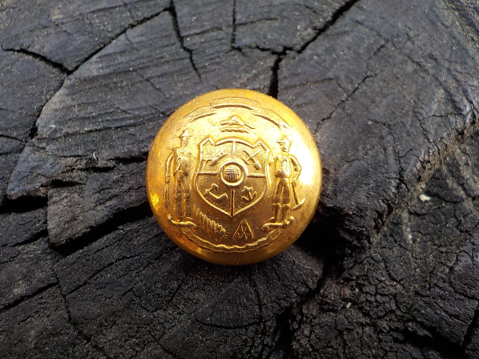 Old Rare Vintage Antique War Relic Wisconsin State Seal Vest Button Free Case