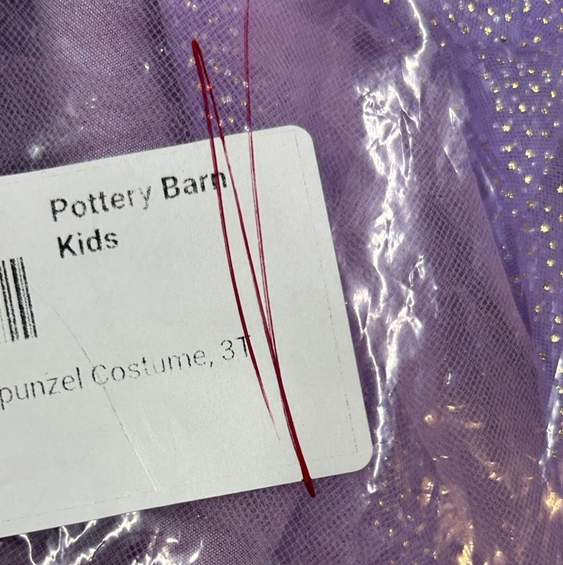 Pottery Barn Disney Princess Rapunzel Costume Dress Blonde Braided Headband NWT