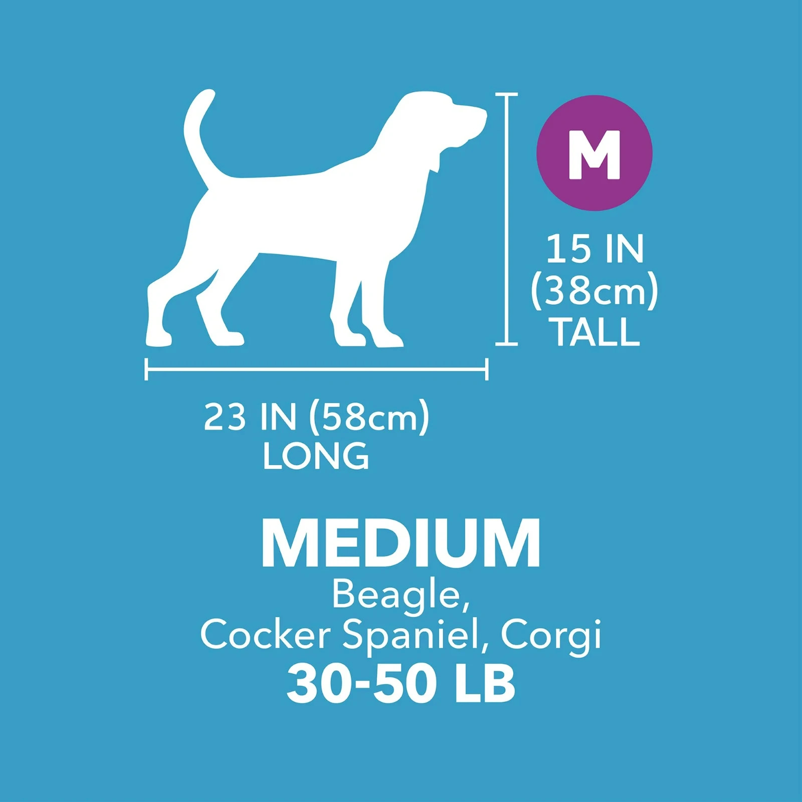 Vibrant Life Pet Kennel 32" Medium Plastic Portable for Pets 30 to 50 lbs, Gray