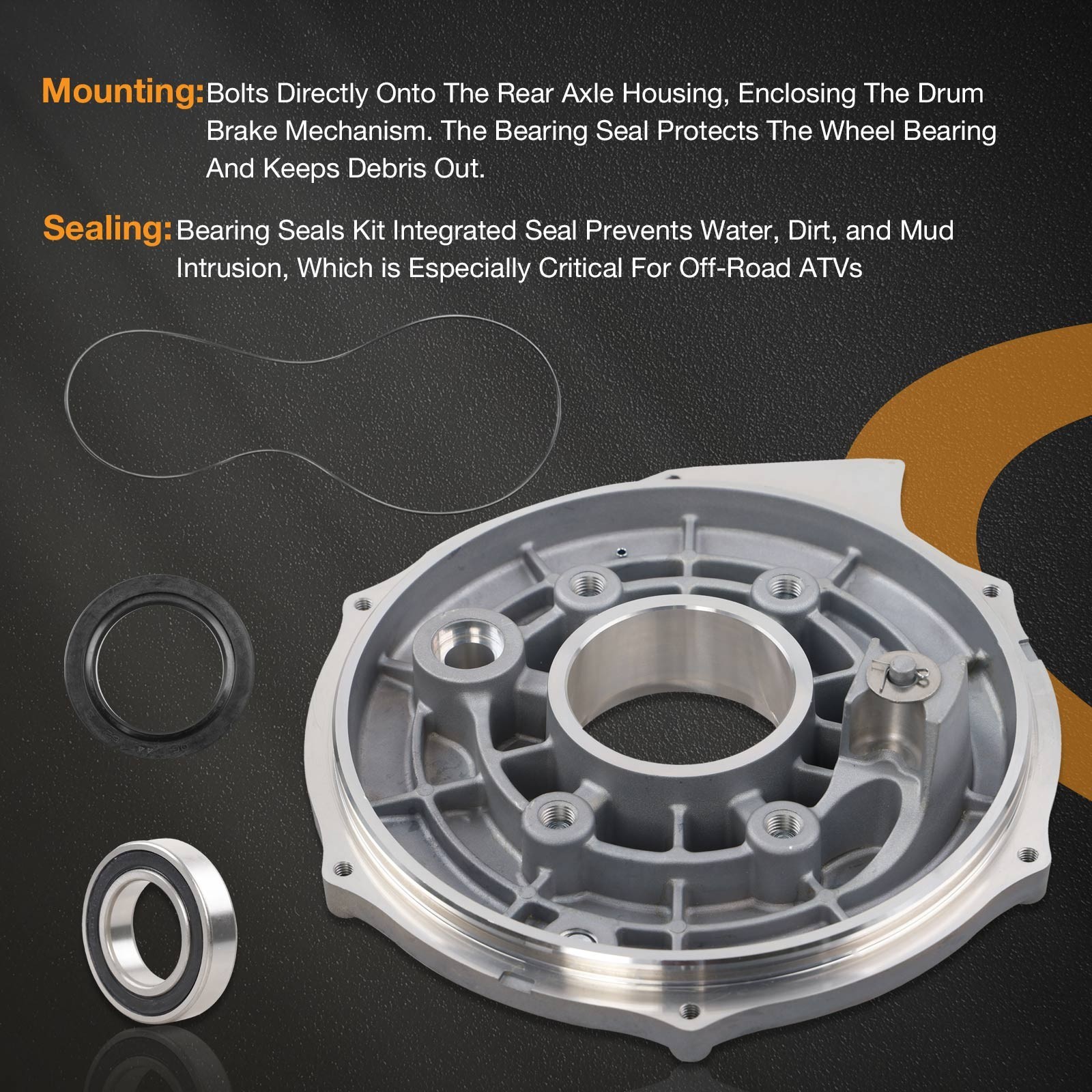 Rear Brake Backing Plate W/Bearing Seals Kit for Honda Fourtrax 300 TRX300 300FW