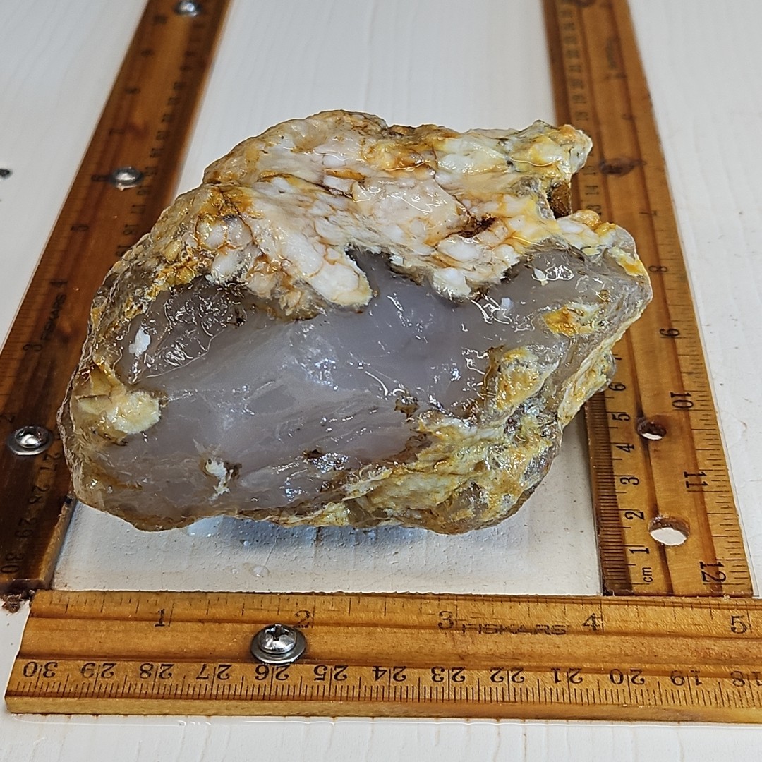 Flower Agate, Madagascar, beautiful color, flower like dendrites 1LB 15.5oz.