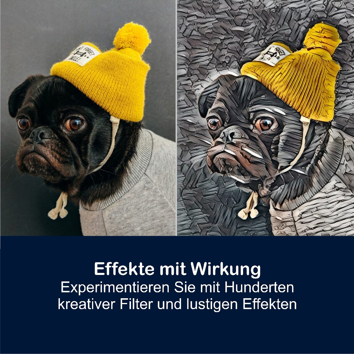 Corel PaintShop Pro 2023 Ultimate Vollversion 2 PC Dauerlizenz Download NEU