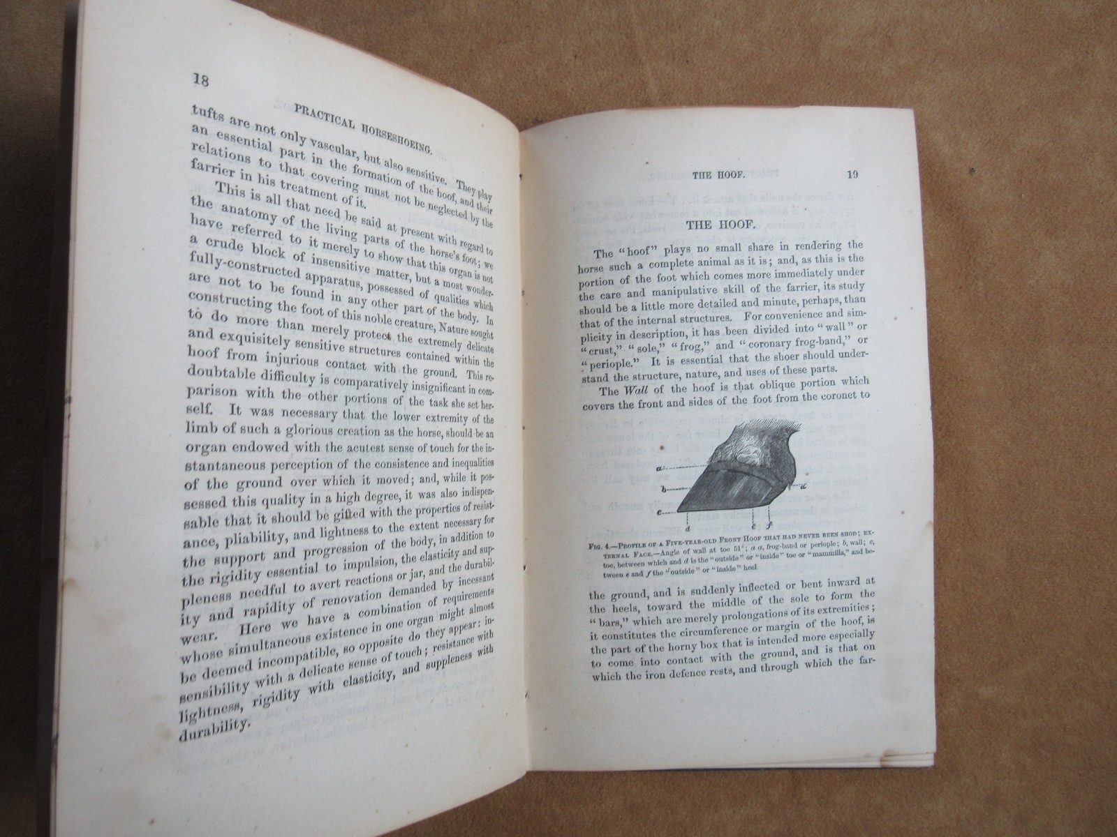 1872 Indian Wars Horseshoeing Farrier Book Custer Cavalry Era