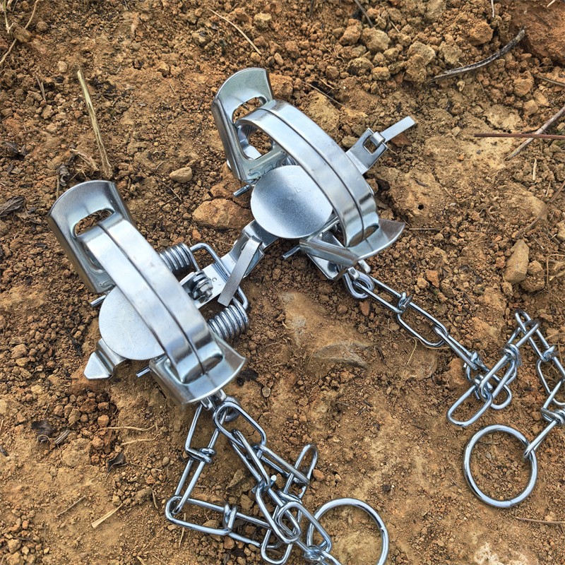 2-Packs 4-3/10 Inch Coil Trap Mouse Raccoon Mink Nutria Muskrat Groundhog Rat