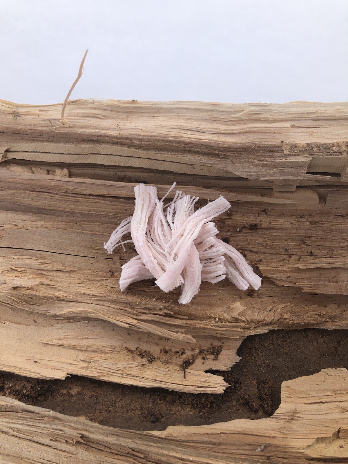 Southwest Survival - Fire Rope - (10) 3.5” 100% Cotton Infused Fire Starters.