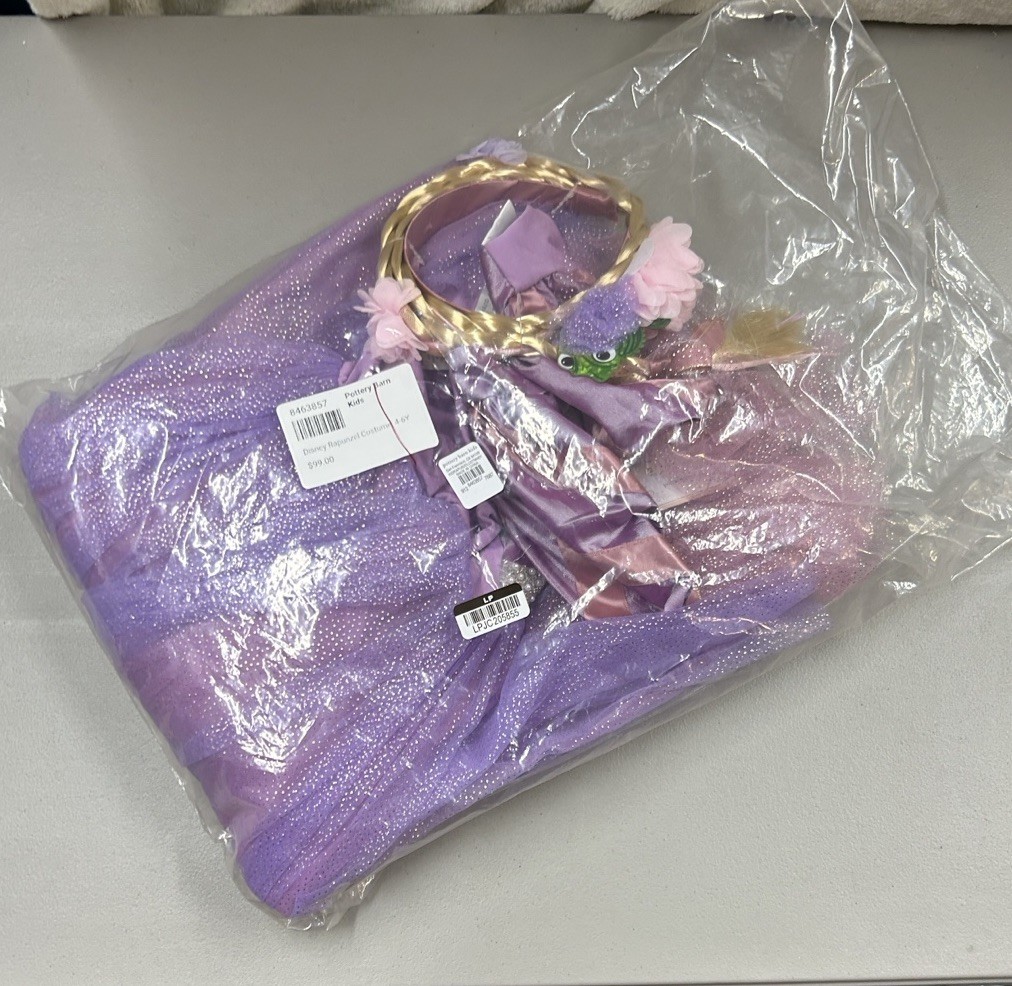 Pottery Barn Disney Princess Rapunzel Costume Dress Blonde Braided Headband NWT