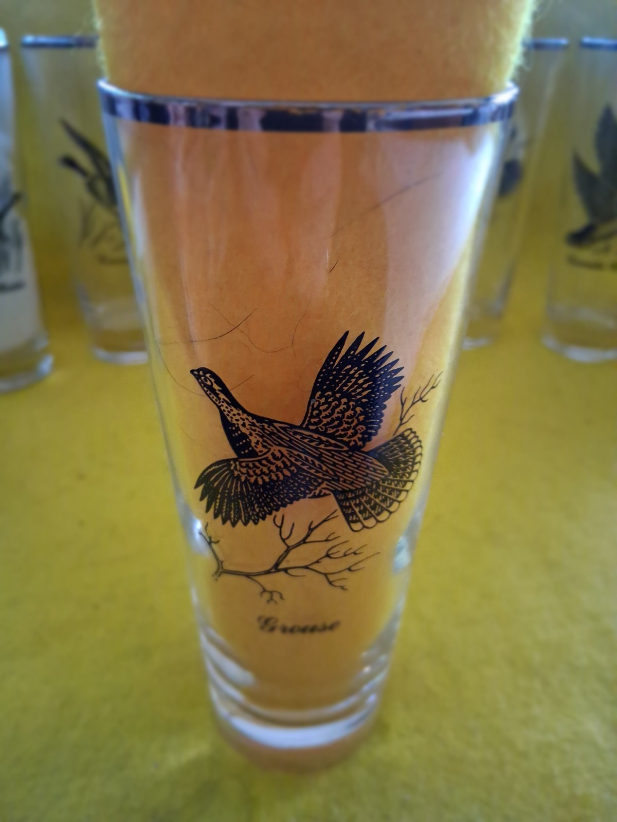 VINTAGE WATERFOWL GAME BIRDS SET OF 7 SILVER RIMMED BARWARE 7" GLASS TUMBLERS