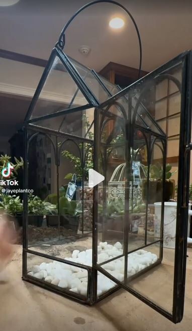 Antique Terrarium Glass w/ Metal Wardian Case Plant Container Miniature Garden