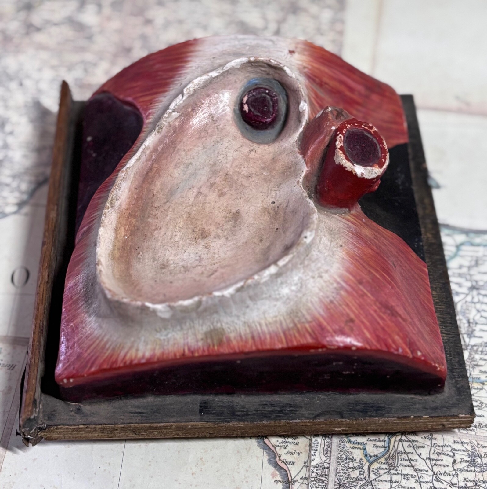 Rare 1930s Soviet Anatomical Model Dissectible Heart & Pelvic Vascular Section