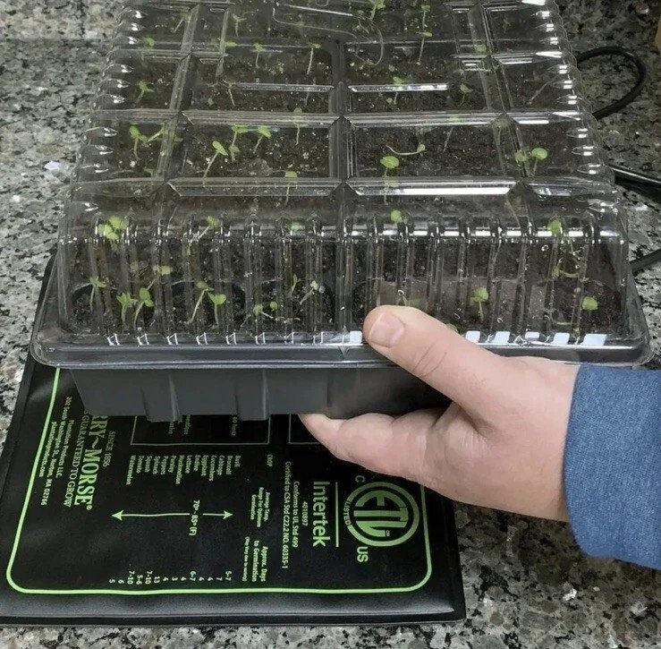 Ferry Morse Seed Starting Heat Mat- 10" x 20" 17.5W Brand🔥 New