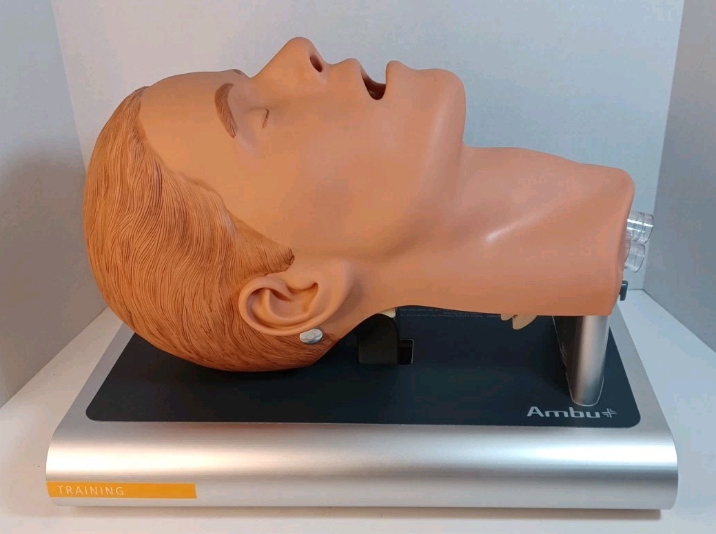 Ambu Intubation Airway Management Trainer – 186002000 - No Packaging
