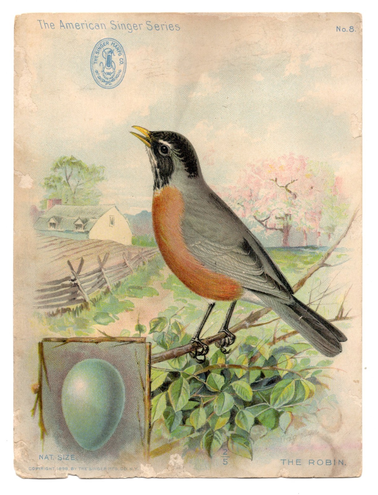 1880-90s - American Singer Sewing Machine Series No. 8 The Robin Card - XL2W