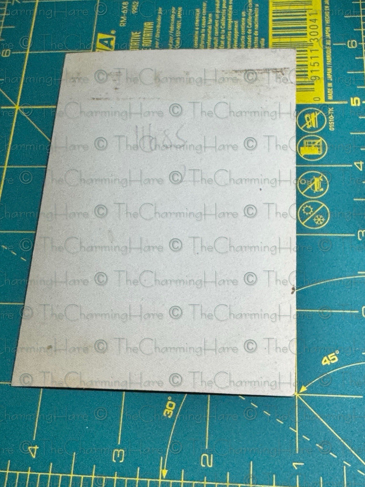 Vintage Photo Gorgeous African American Young Lady Portrait 1940’s