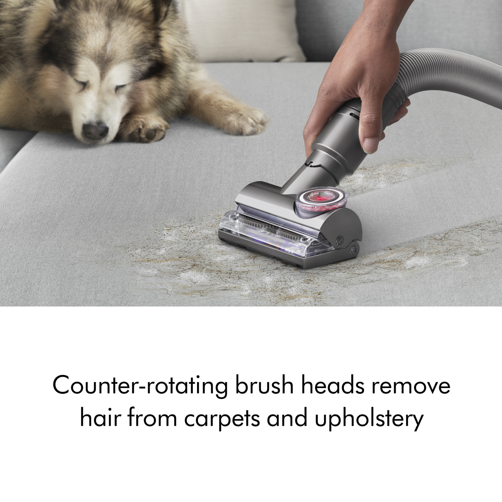 Dyson UP30 Ball Animal 3 | Nickel/Silver | Refurbished