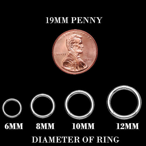 Hinged Septum Clicker Segment Nose Ring Lip Ear Cartilage Daith 18G,16G,14G- ONE