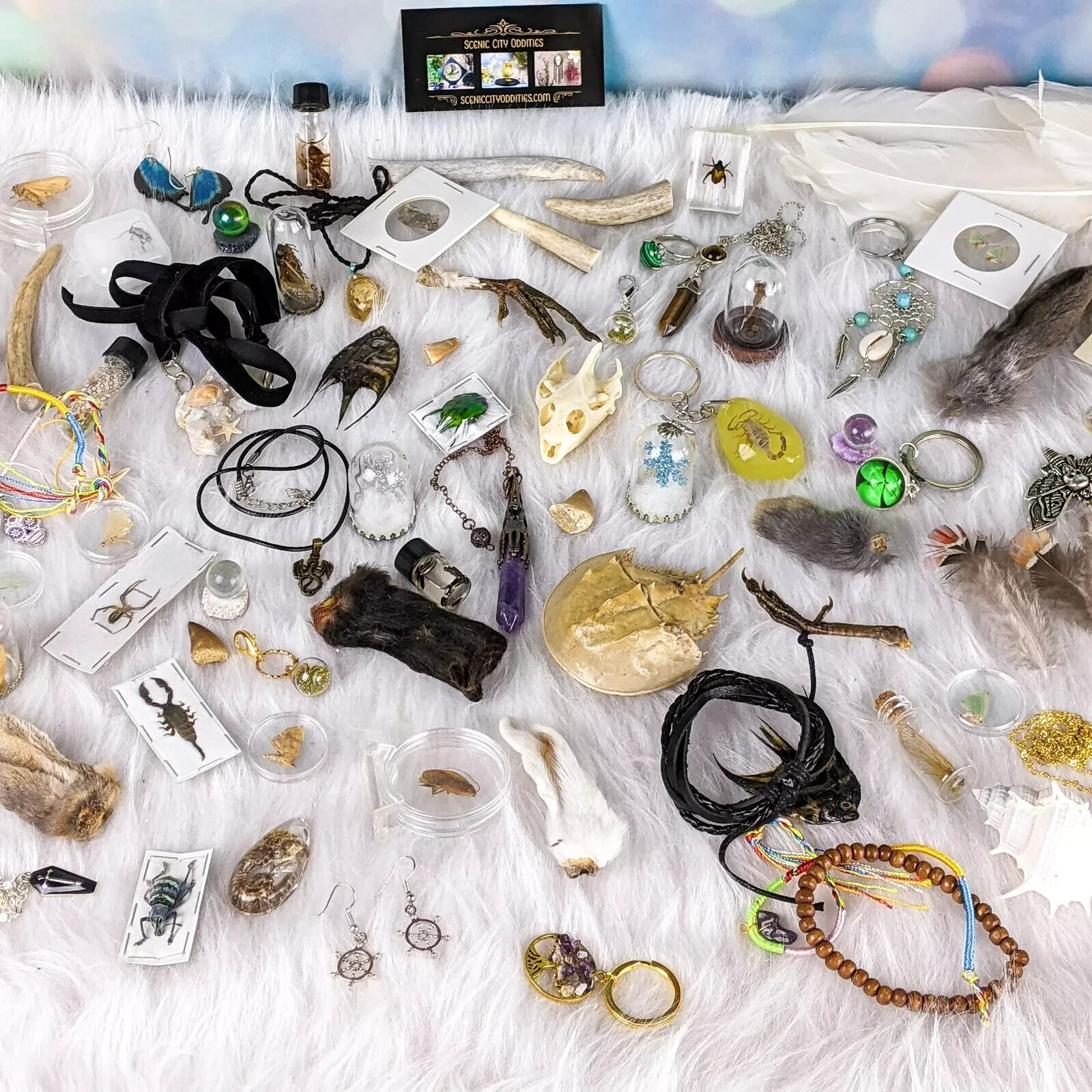 MYSTERY Lot BOX Small Curiosity or Oddity box 4 / 6 item gift surprise package