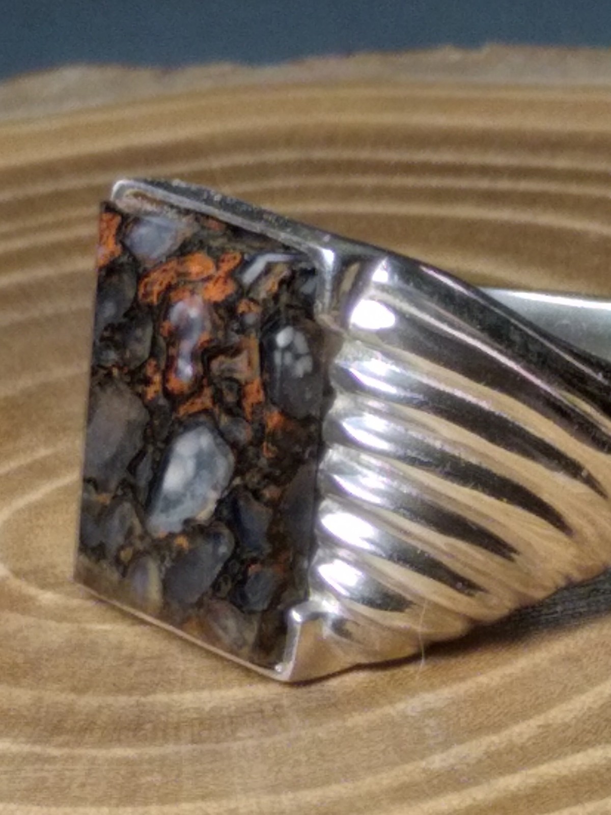 EXQUISITE COLORADO HIGHLY AGATIZED DINOSAUR BONE STERLING RING