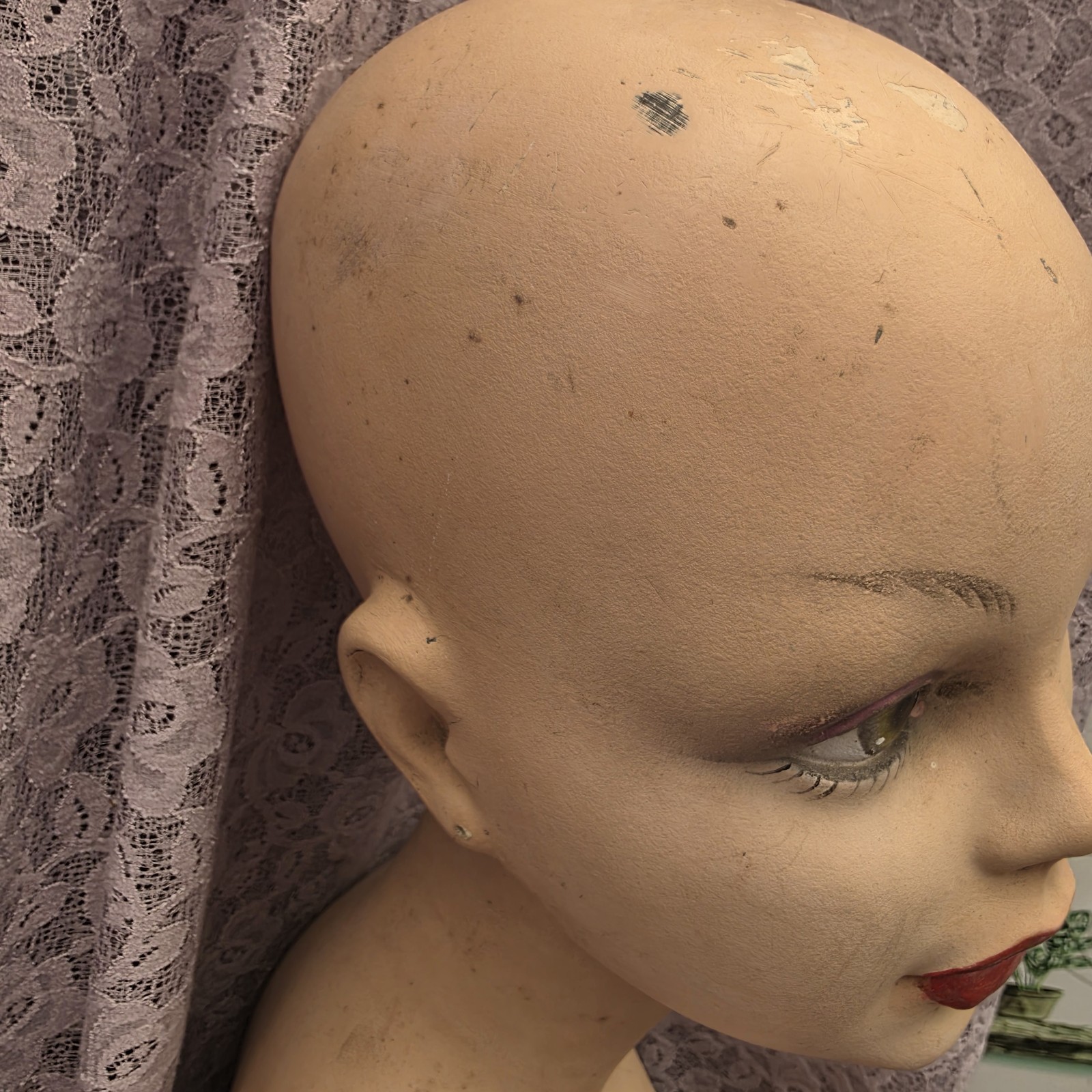 Vintage 'Vera' 1950's - 1960's Fibreglass Bust Manniquin