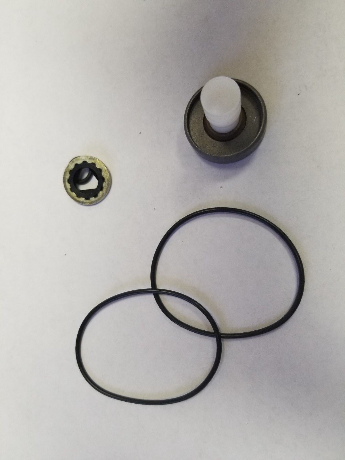 Ace Pumps Repair Kit for 200 Series Motors - RK-BAC-75-HYD-L (41374)