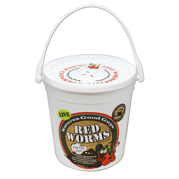 Compost Live Red Worms - Natures Good Guys - Red Wigglers