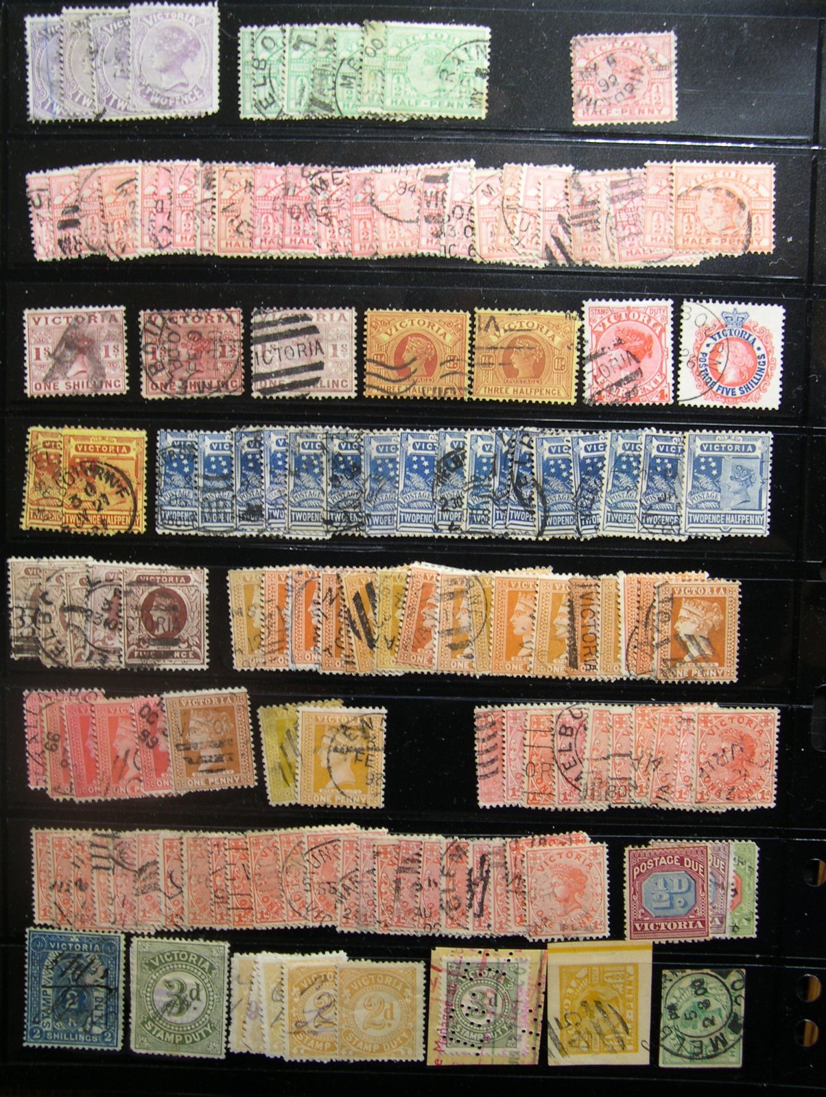 AUSTRALIA STATES collection USED mounted in vario stock album pages UX1