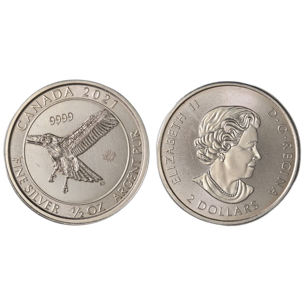 1/2 oz Silver Coin (Varied Condition, Any Mint)