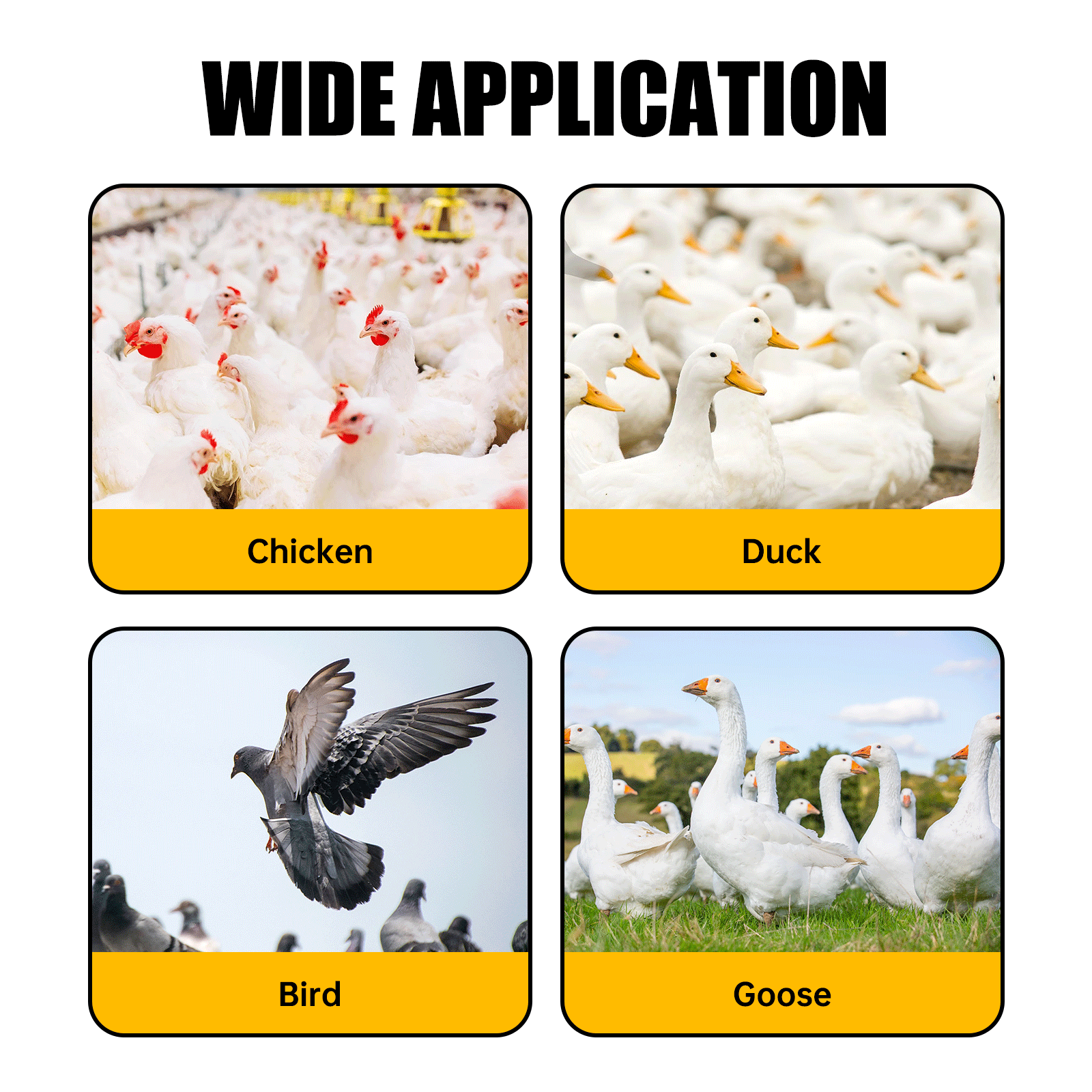 20Pcs Poultry Water Drinking Cups Chicken Hen Plastic Automatic Drinker Feeder