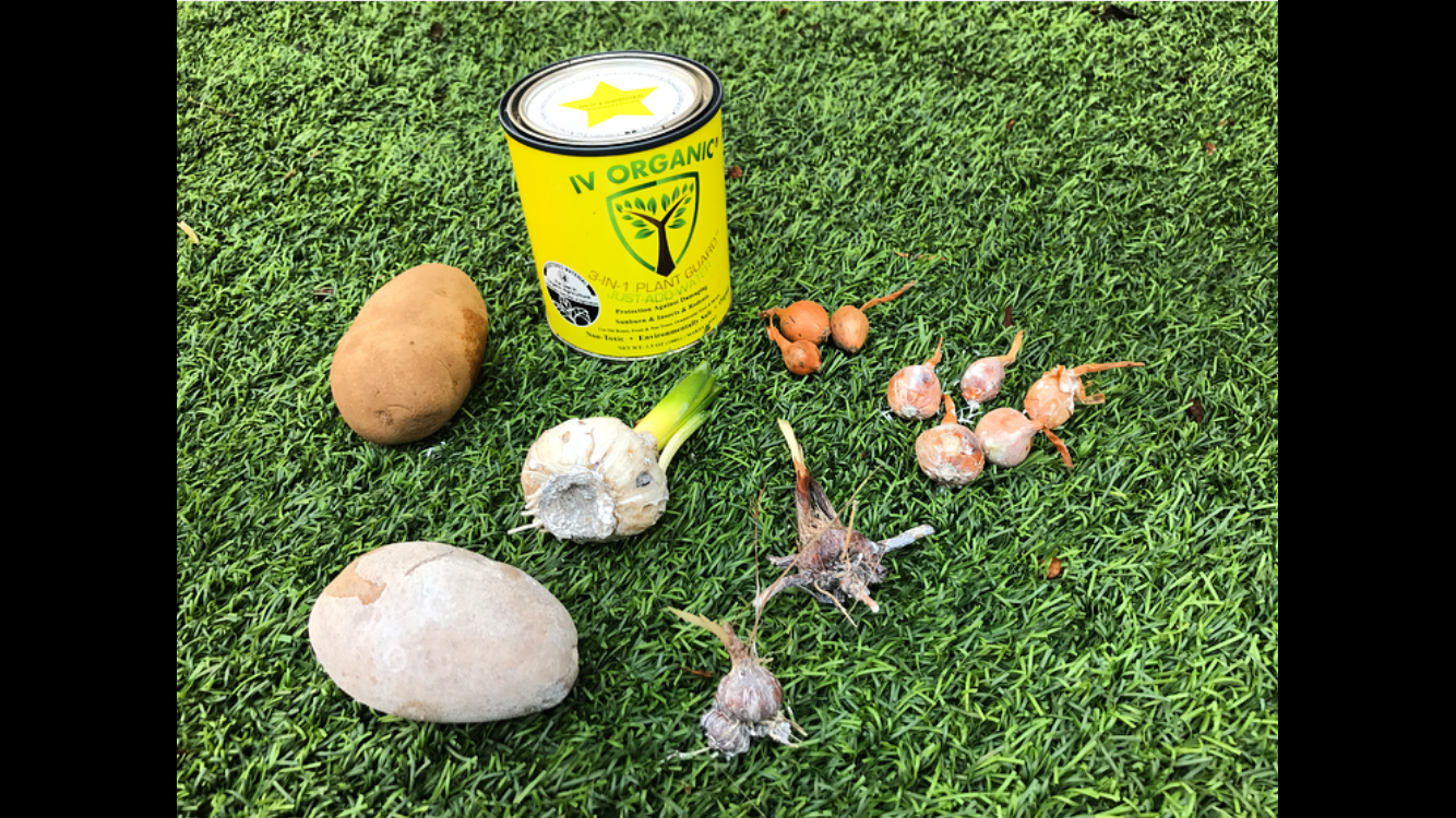 IV Organic 3-in-1 Plant Guard, 1 Pint (WHITE)