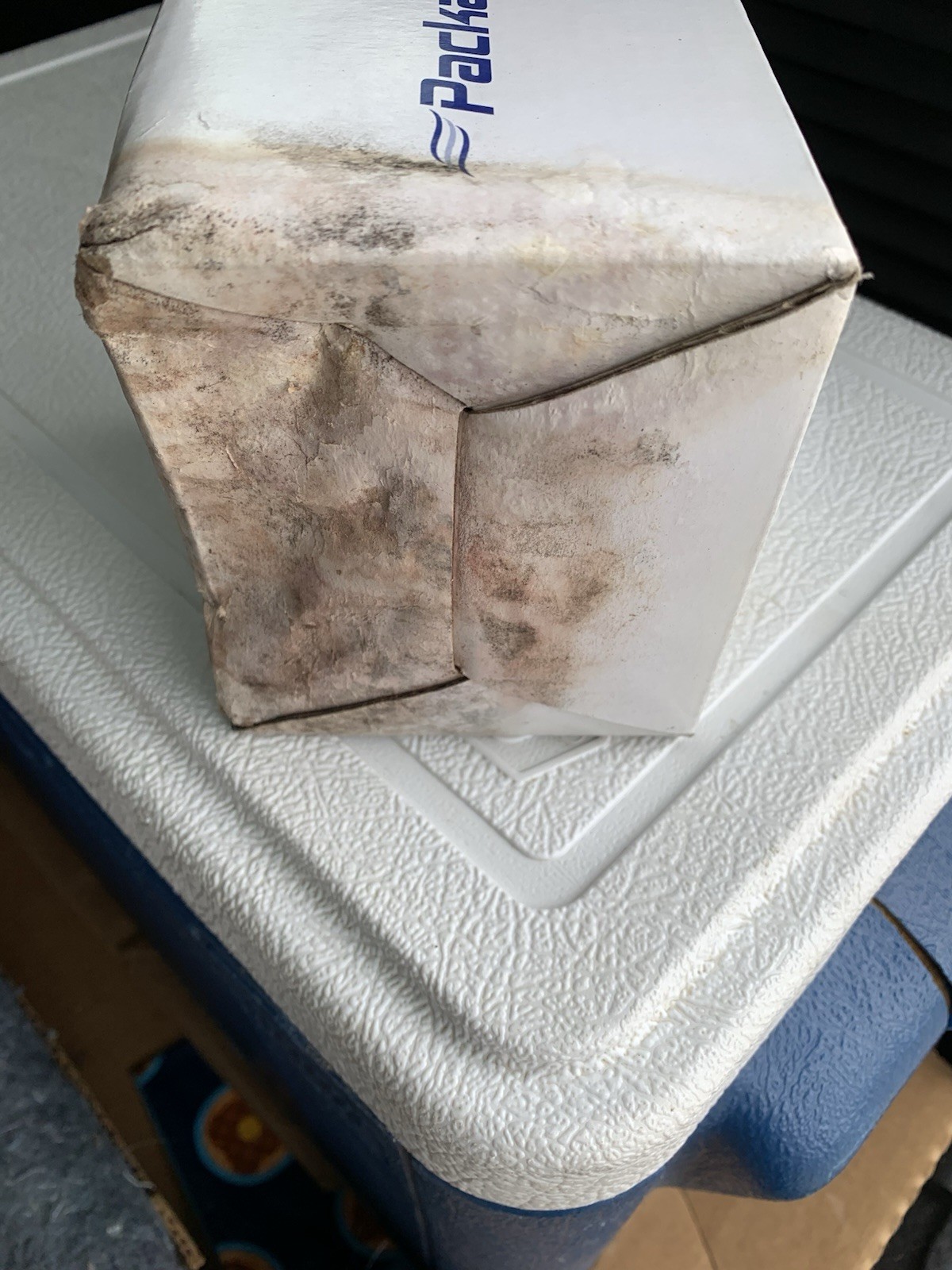 PACKARD UNIT BEARING FAN MOTOR 65109, Water damaged box on bottom of Box.