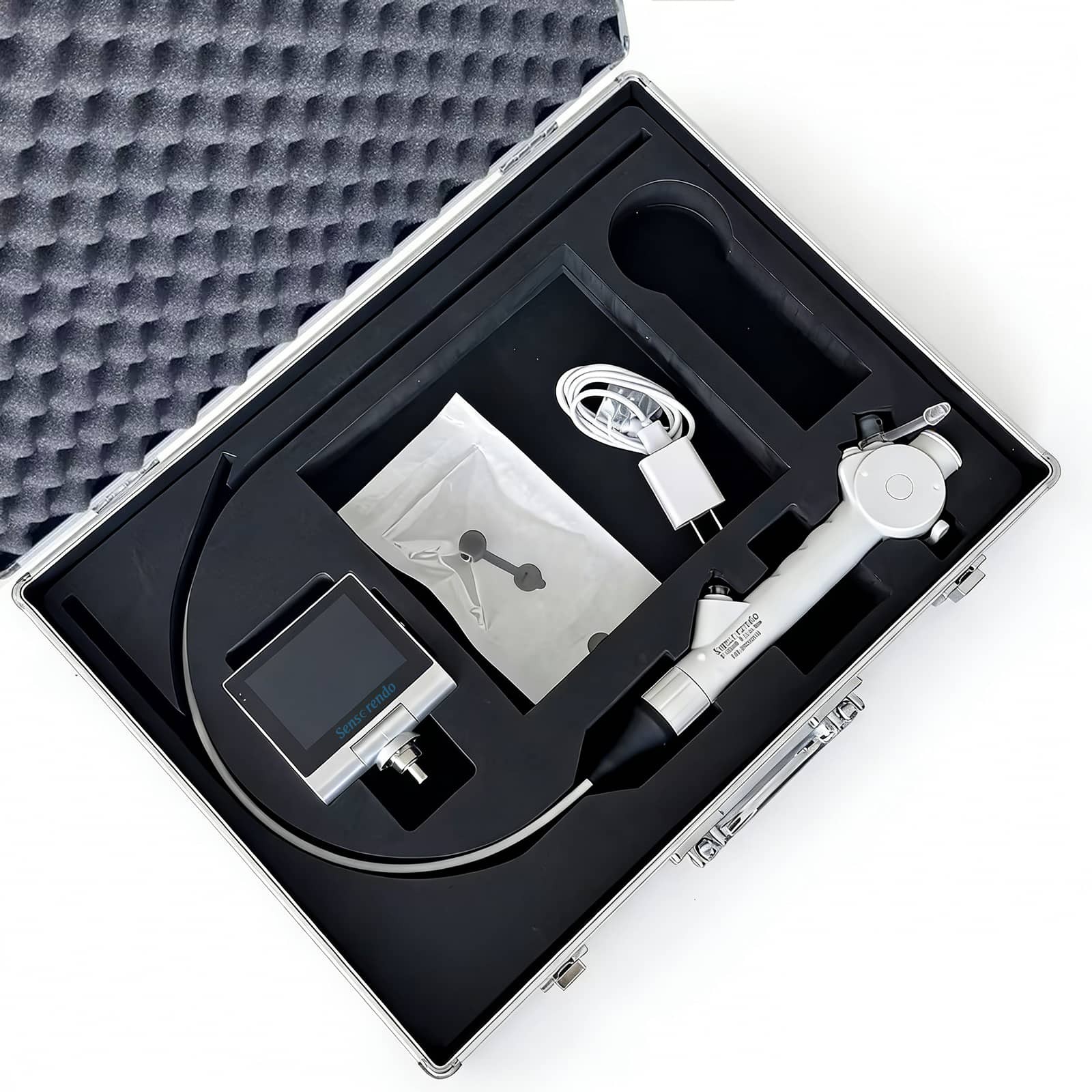 Sensorendo portable flexible laryngoscope with display