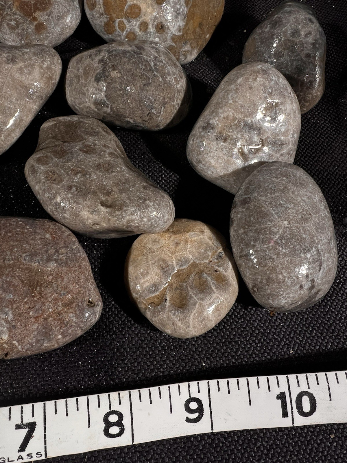 Parsley Stone Rough 3 lb 13 oz 15 in lot Michigan, good hexagonal patterns