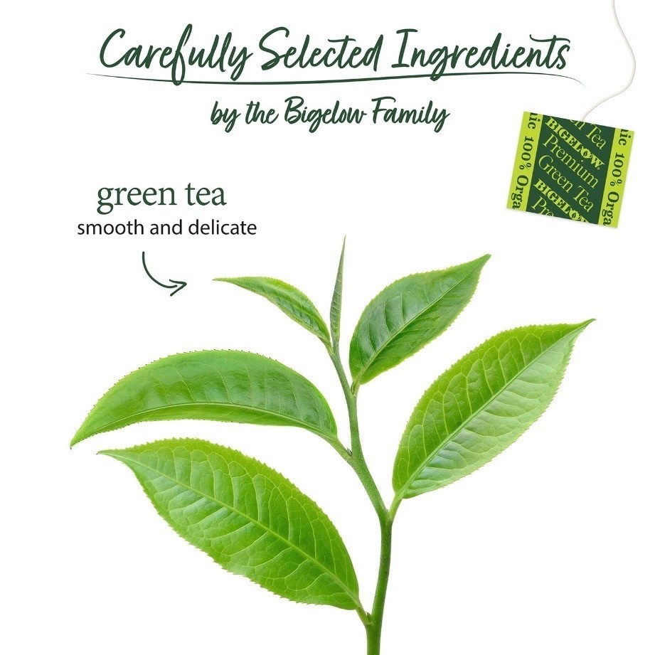 Bigelow Premium Organic Green Tea 140 Count Bags Healthy