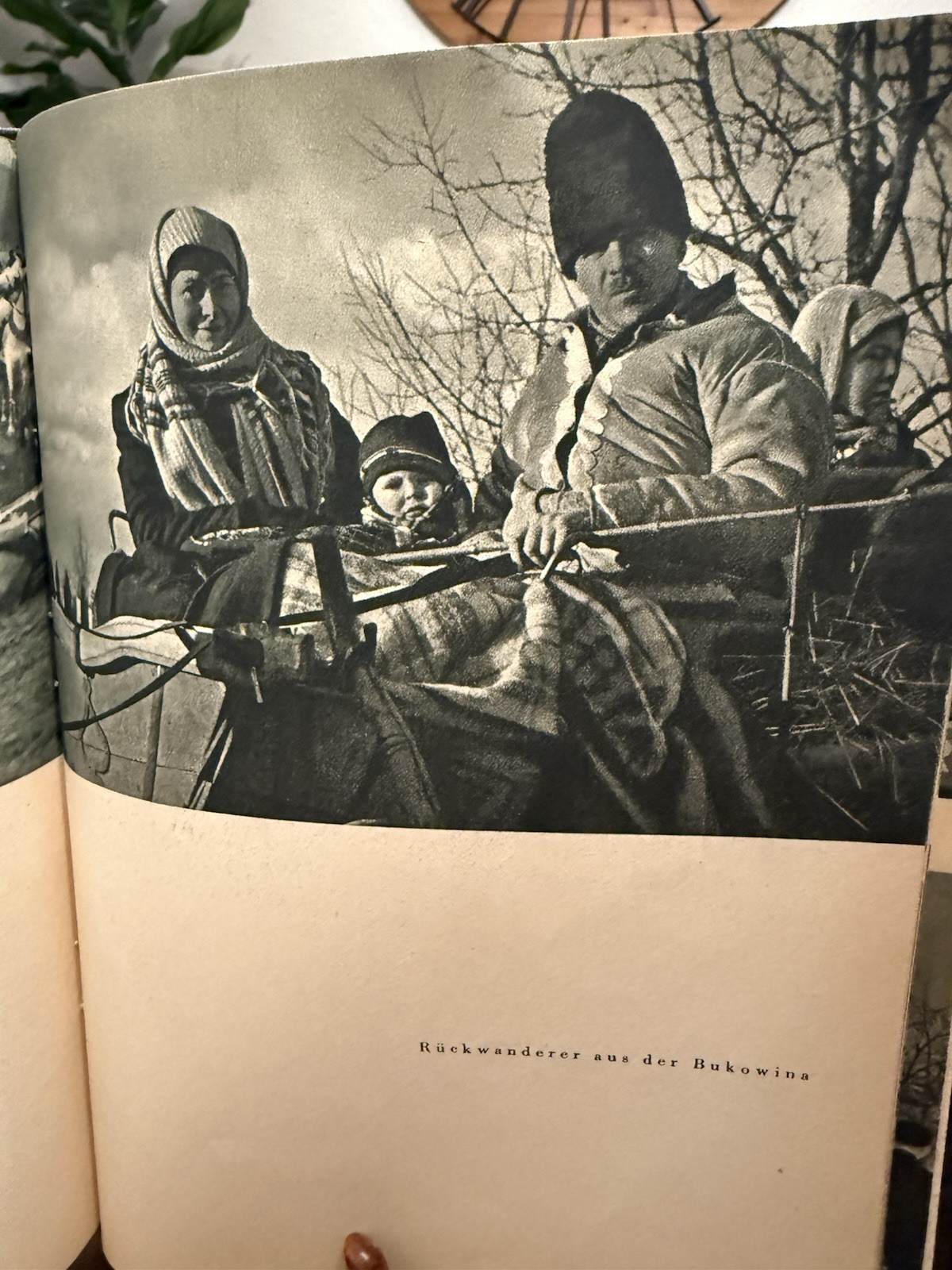 Original WW2 German Book - Heimkehrer, Hans Richter (1941)