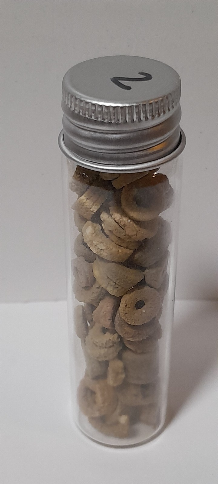 Lot of Crinoid Fossils in Jar 3" Tall