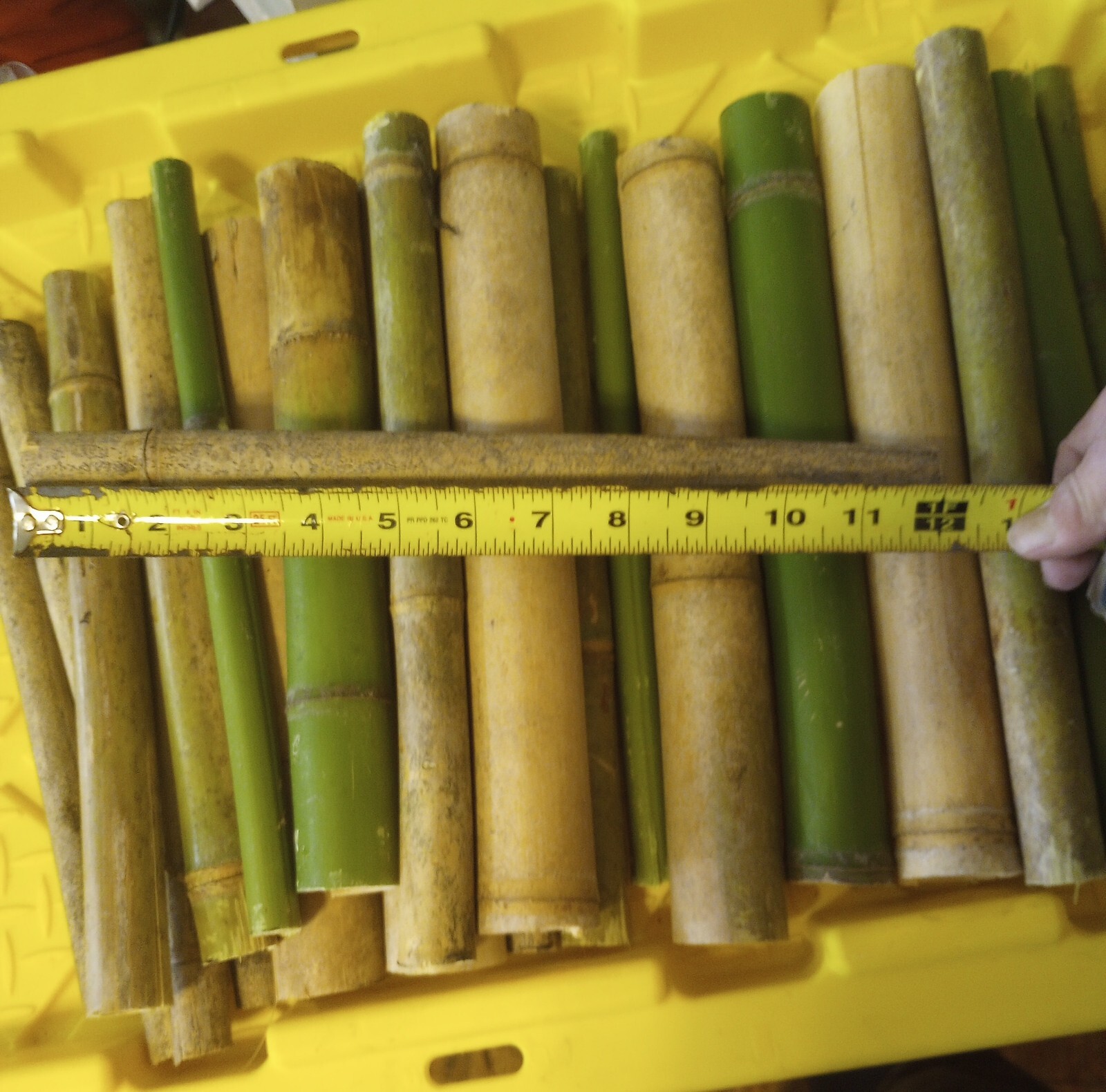 10 Bamboo 12" Poles Variety Sizes Decoration Tiki 1' Make Your Own Bee Hive
