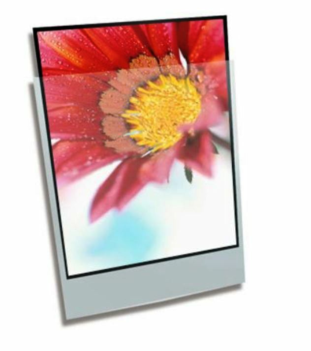 Clear File Acid-Free Archival Photo Print Protectors 4 x 6" 25-Pack #000025B