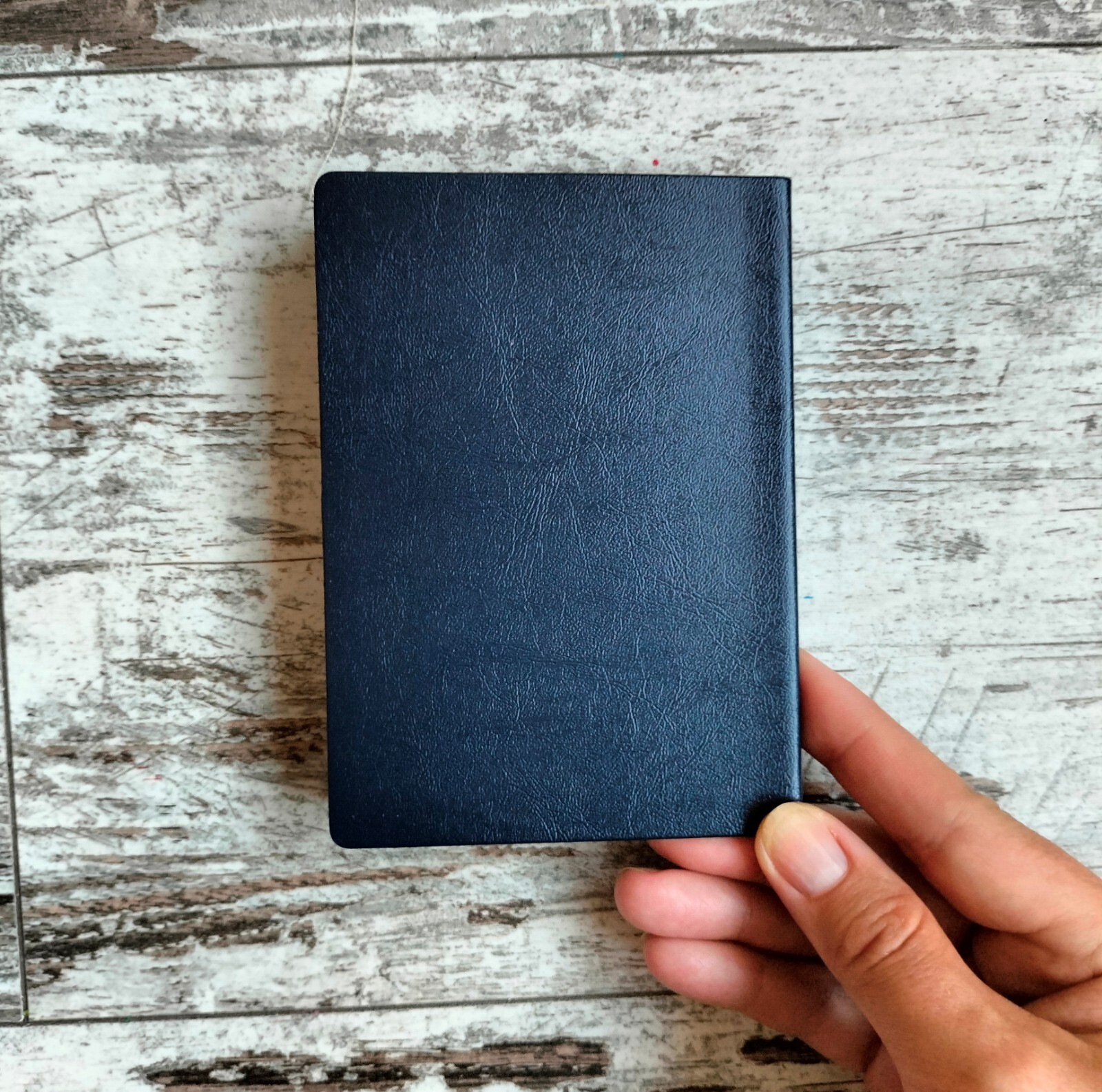 North Korea passport prop. Novelty passport cosplay. Play passport notebook.