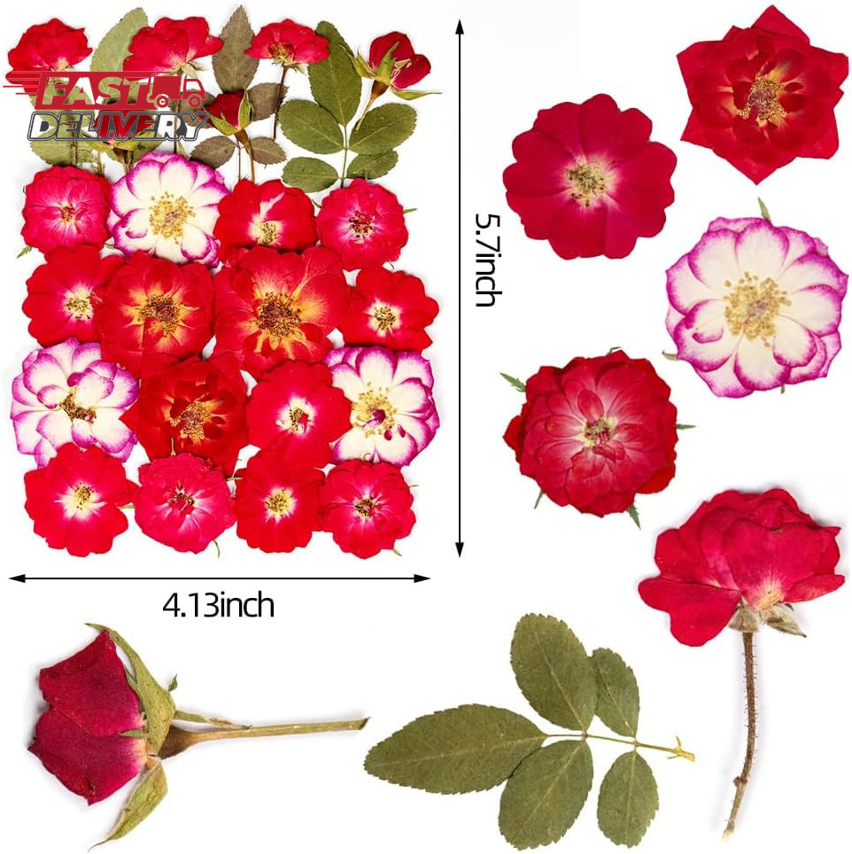 25Pcs Dried Pressed Rose for Resin Molds, Real Natural Rose Flowers Leaves Kit,