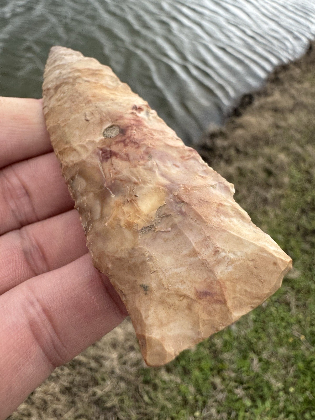 Rare Colorful Native American Paleo Scottsbluff Arrowhead Point