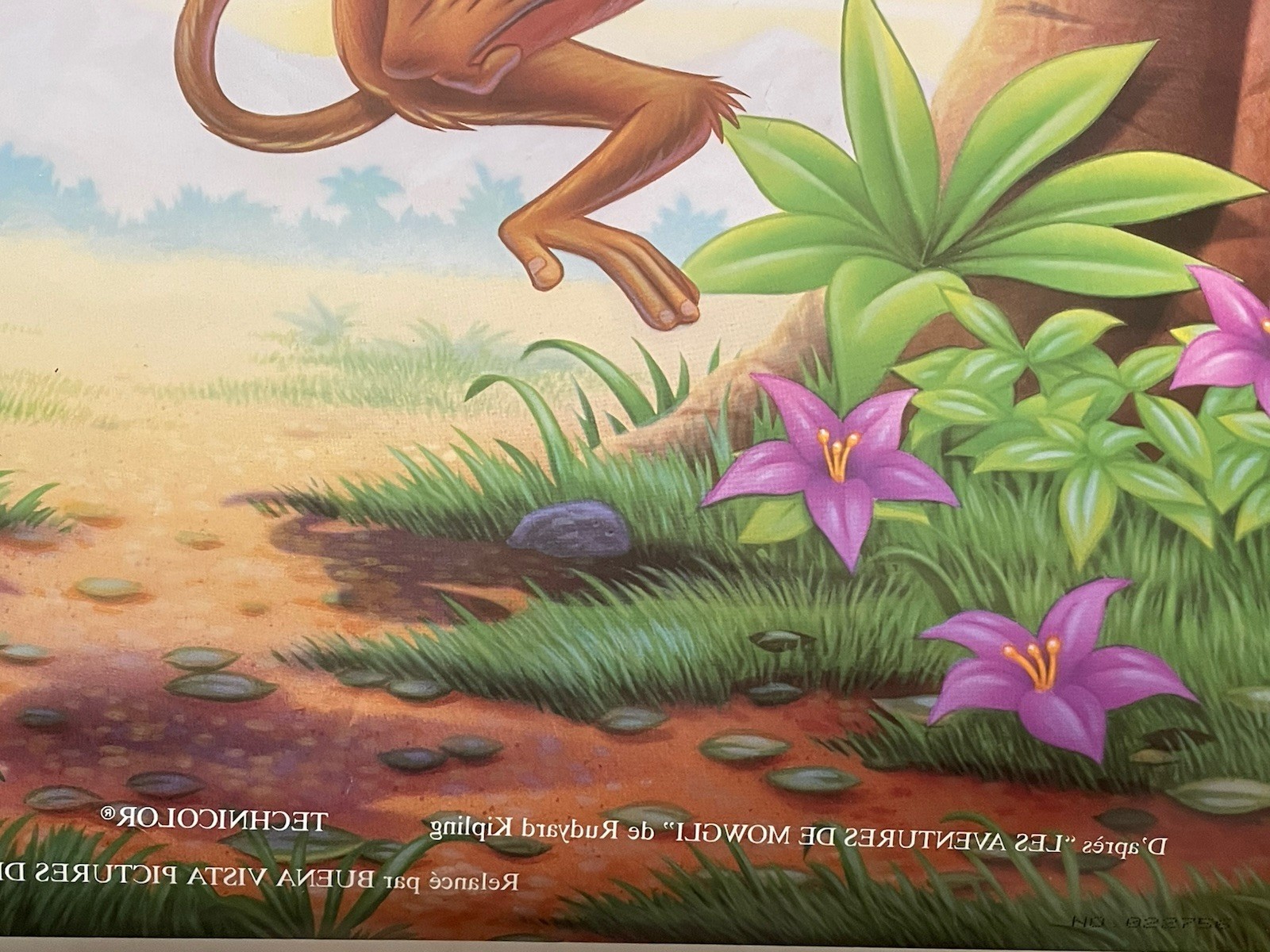 Disney THE JUNGLE BOOK French Original Movie Theater Poster 41”x 27”