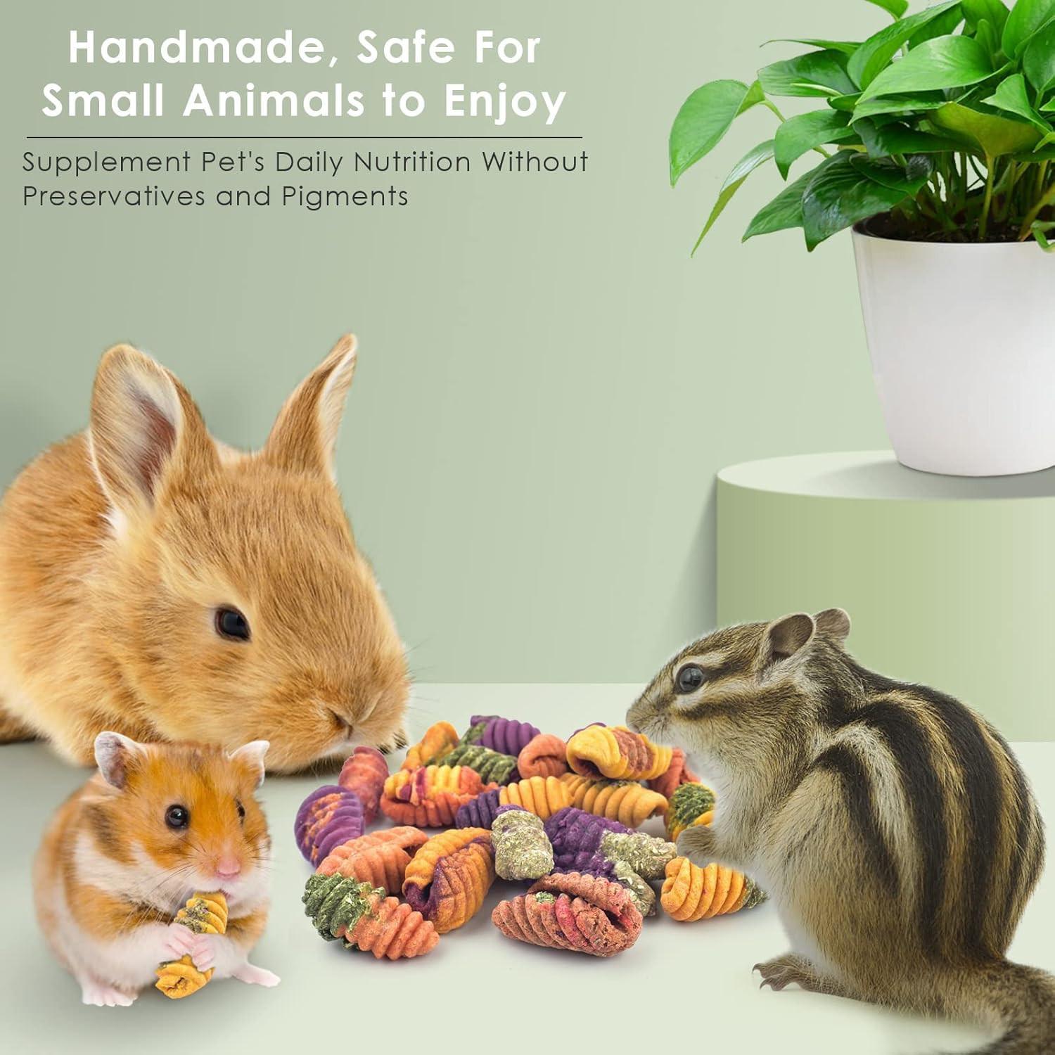 Chinchilla Treats, Chew Toys for Teeth for Rabbit Guinea Pig Gerbil Rat Dwarf Ha