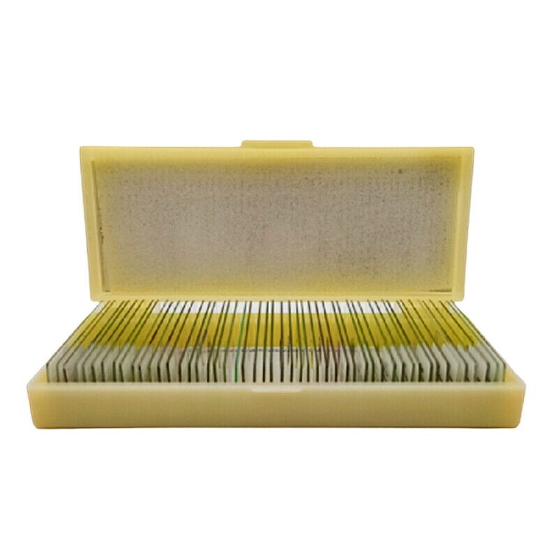 50PCS New Mammal Tissue Sections Histology Prepared Specimen Microscope Slides