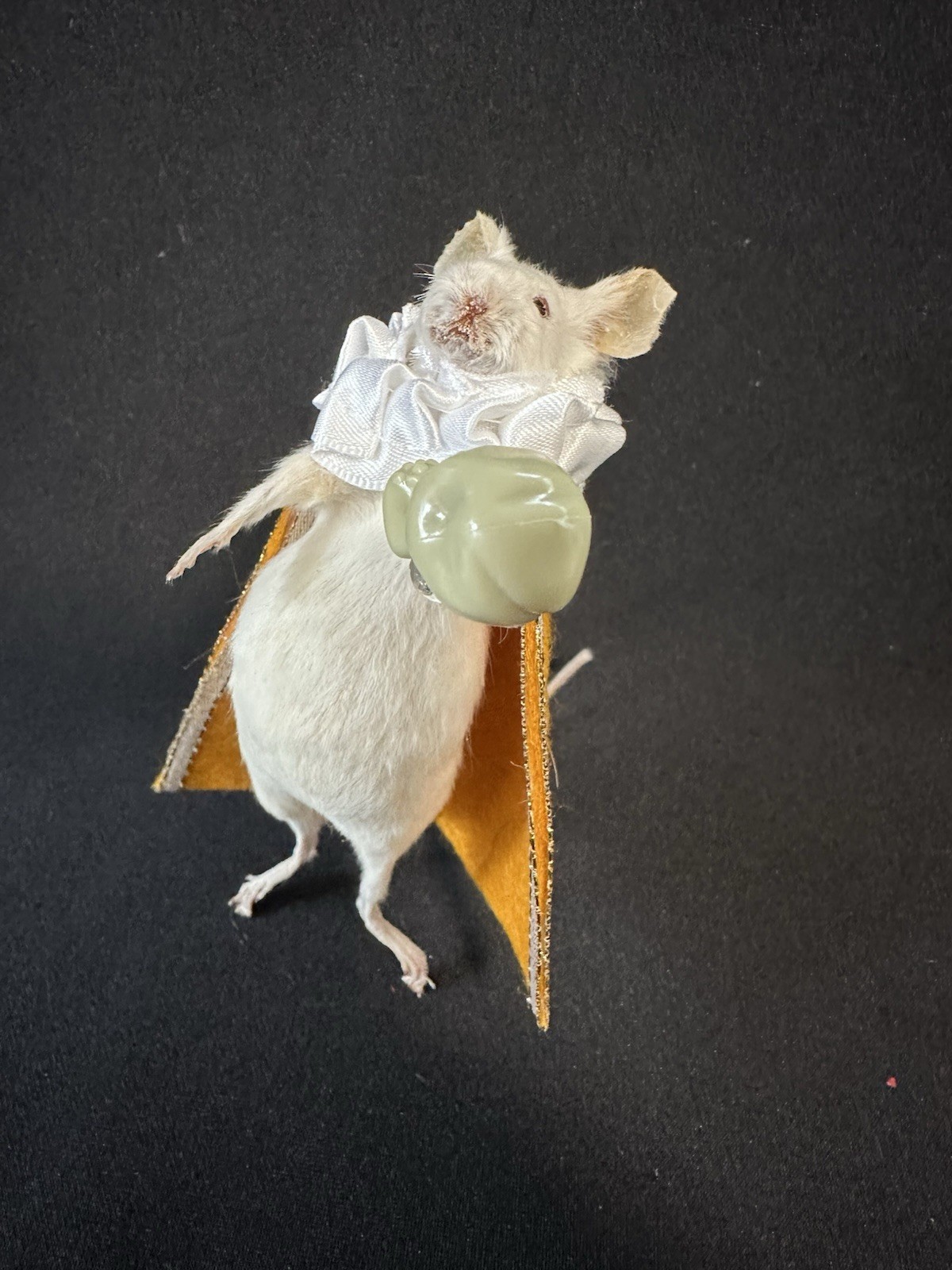 Taxidermy Mouse Hamlet Mouse Oddities Curiosities Taxidermy Art