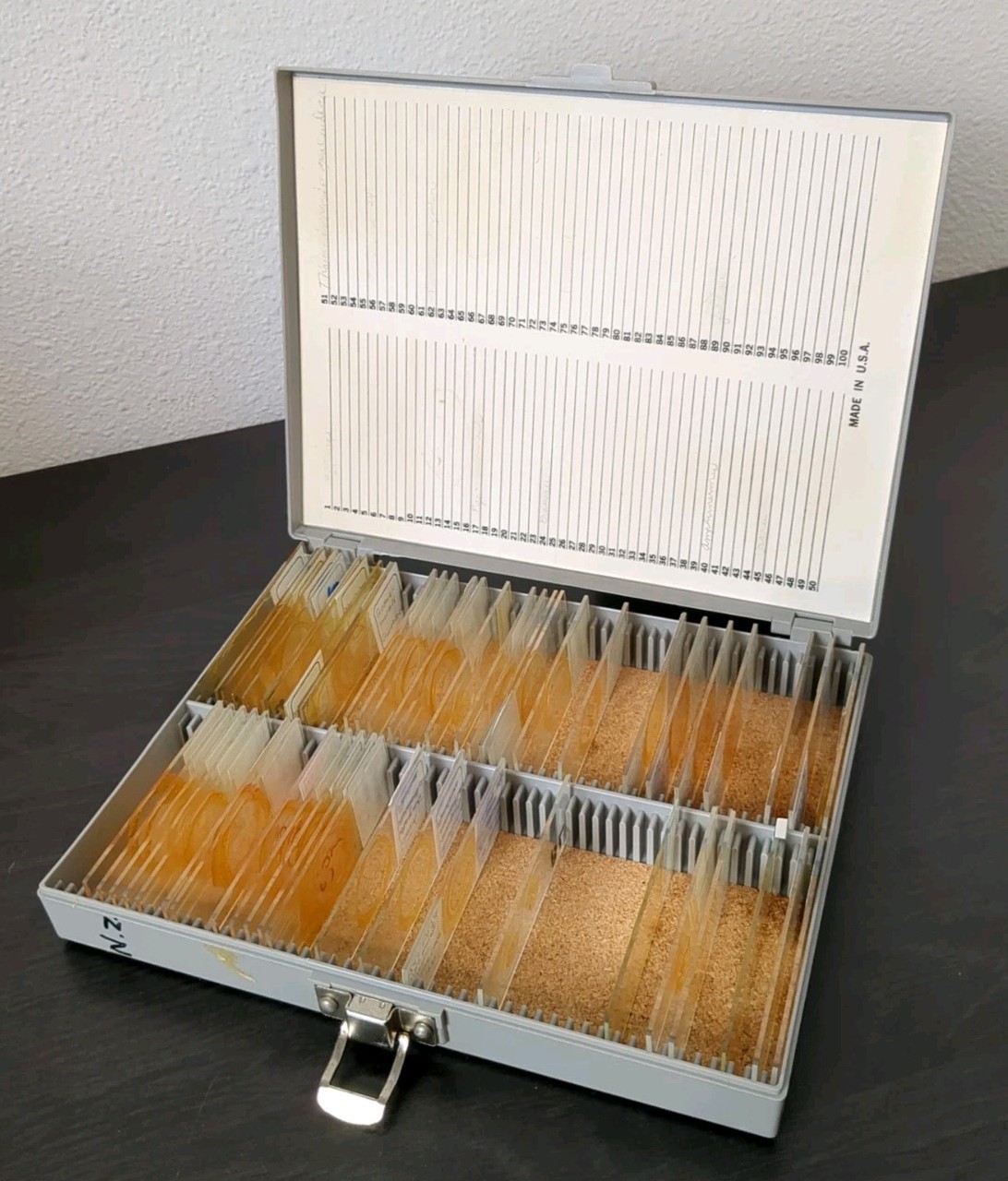 Vintage Prepared Microscope Glass Slides - George Poinar Jurassic Park Estate