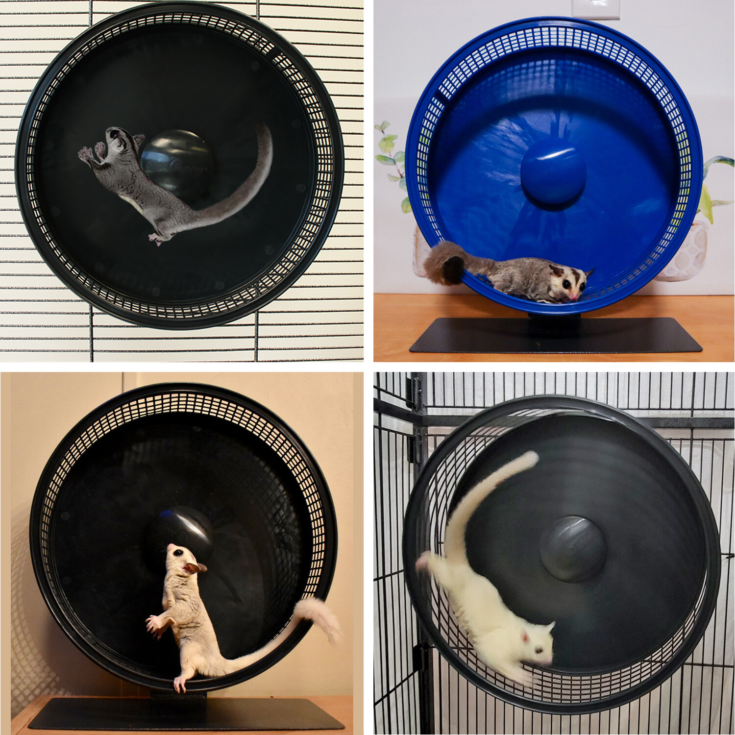 Silent Runner Pro Blue - Durable Pet Exercise Wheel with Cage Attachment