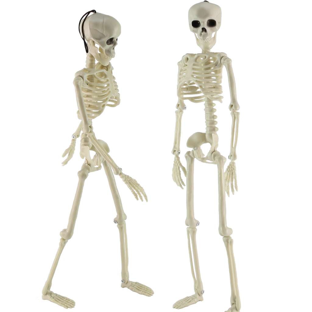 Halloween Human Skeleton Oversized Poseable Size Life Decoration Party Prop 41cm